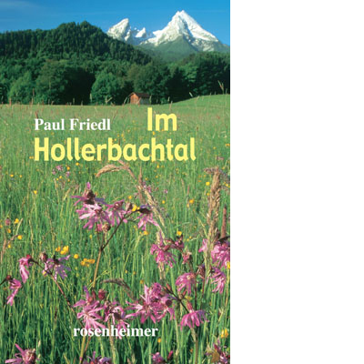 Im Hollerbachtal (E-Book)