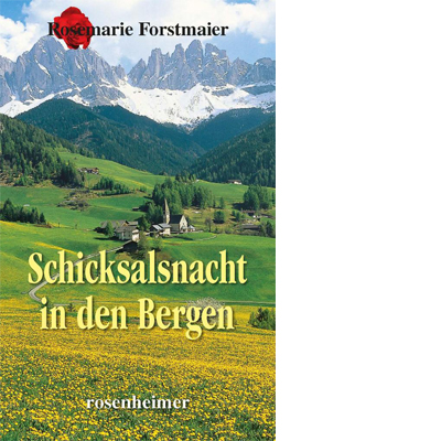 Schicksalsnacht in den Bergen (E-Book)